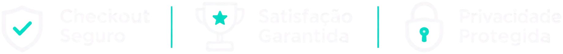 Checkout seguro, satisfação garantida e privacidade protegida.